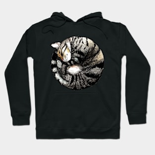 Tranquil Cat Sleeps in a Circle Hoodie